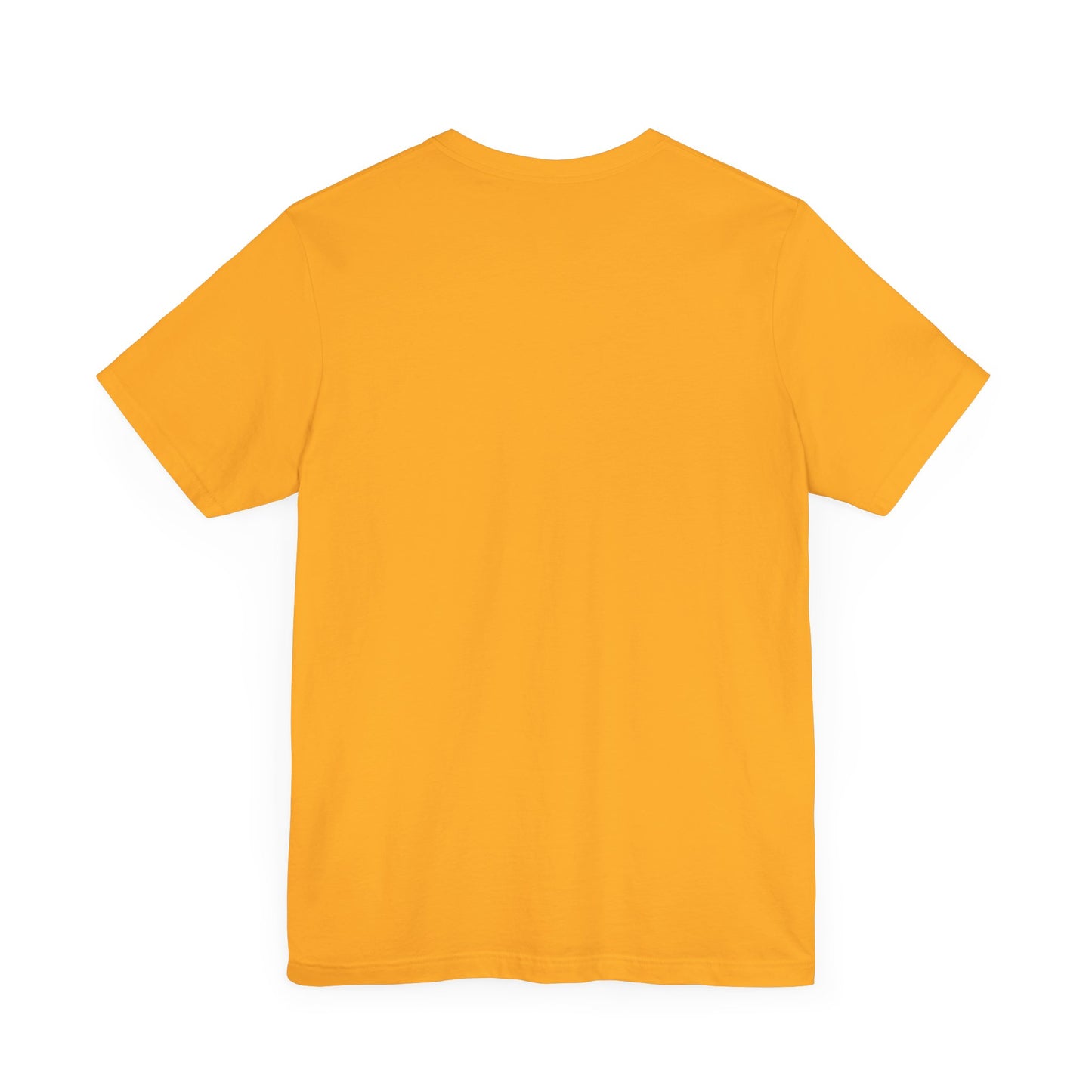 over the turquoise mountains llama tee